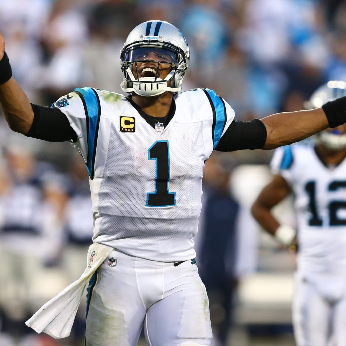 Panthers now 12-0, win NFC South