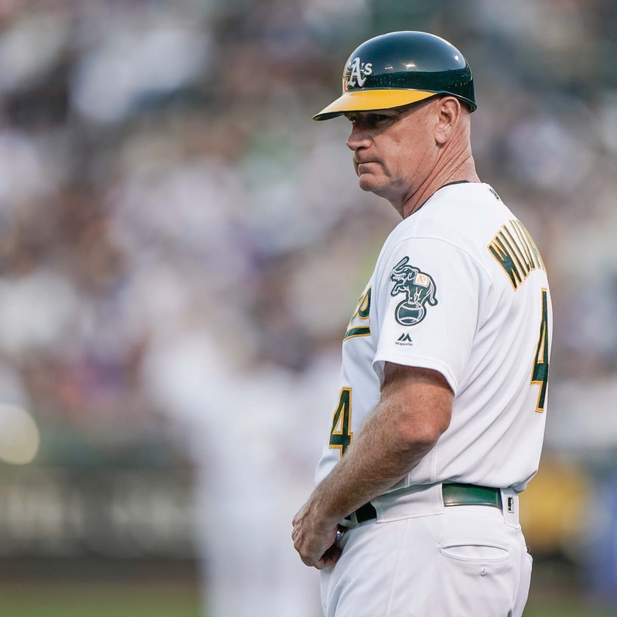 Former Athletics' 3B Coach Matt Williams New Managerial Career in Korea in  Full View Now - Sports Illustrated Oakland Athletics News, Analysis and More