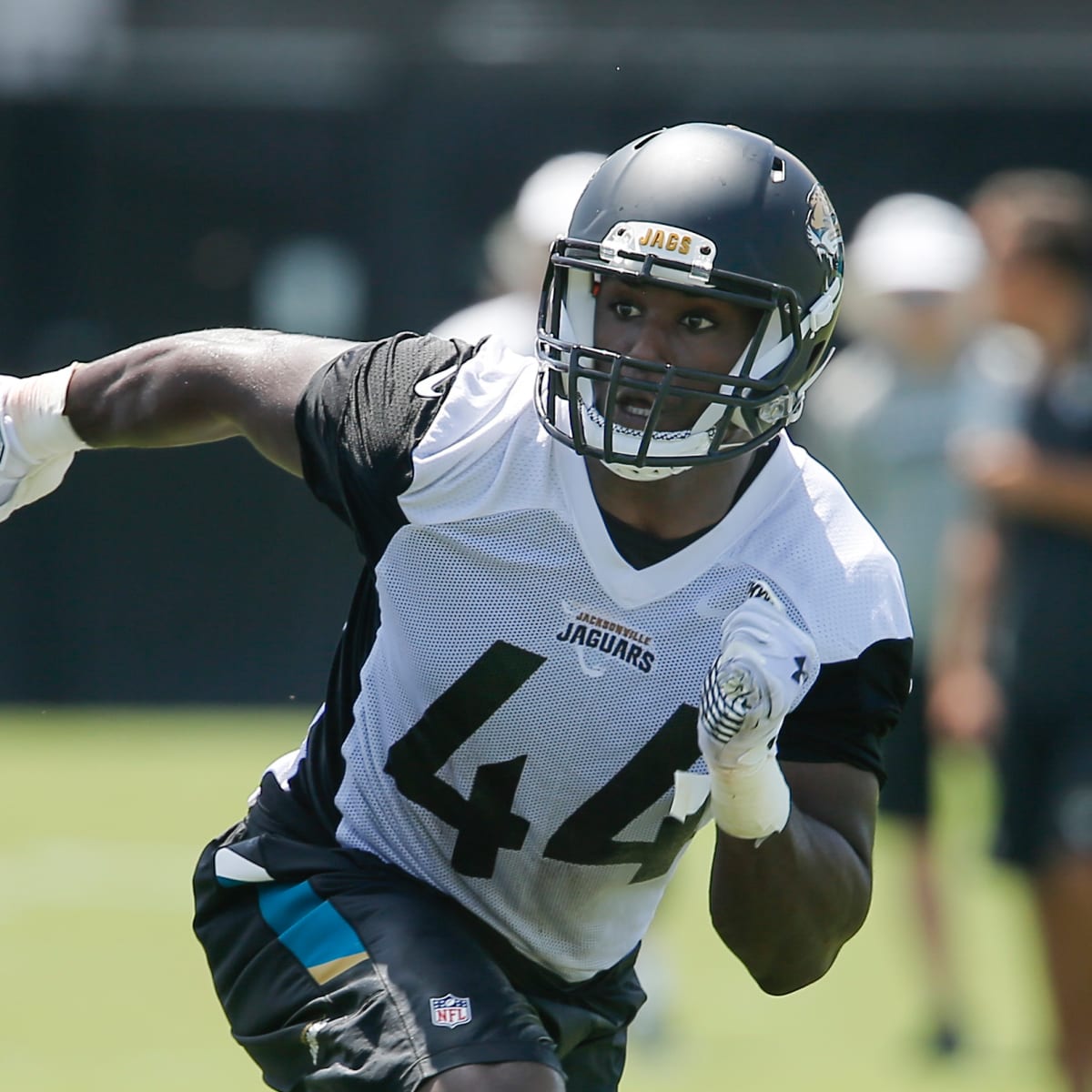 Jacksonville Jaguars: A Look at Rookie LB Myles Jack