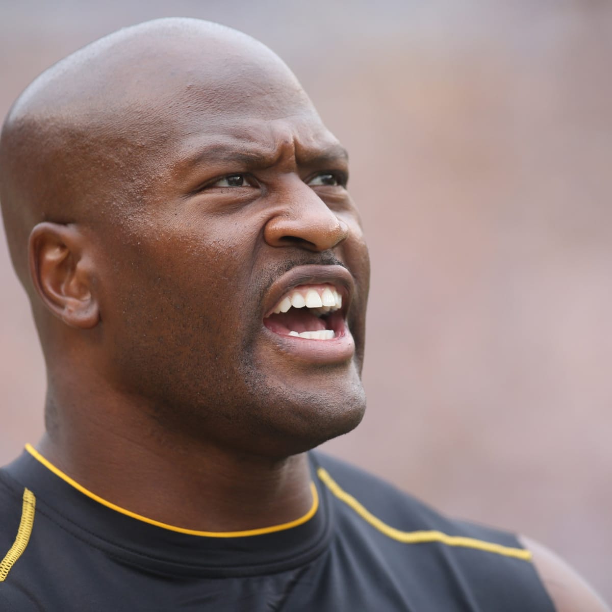 James Harrison denies bounty: Mike Tomlin never paid me for