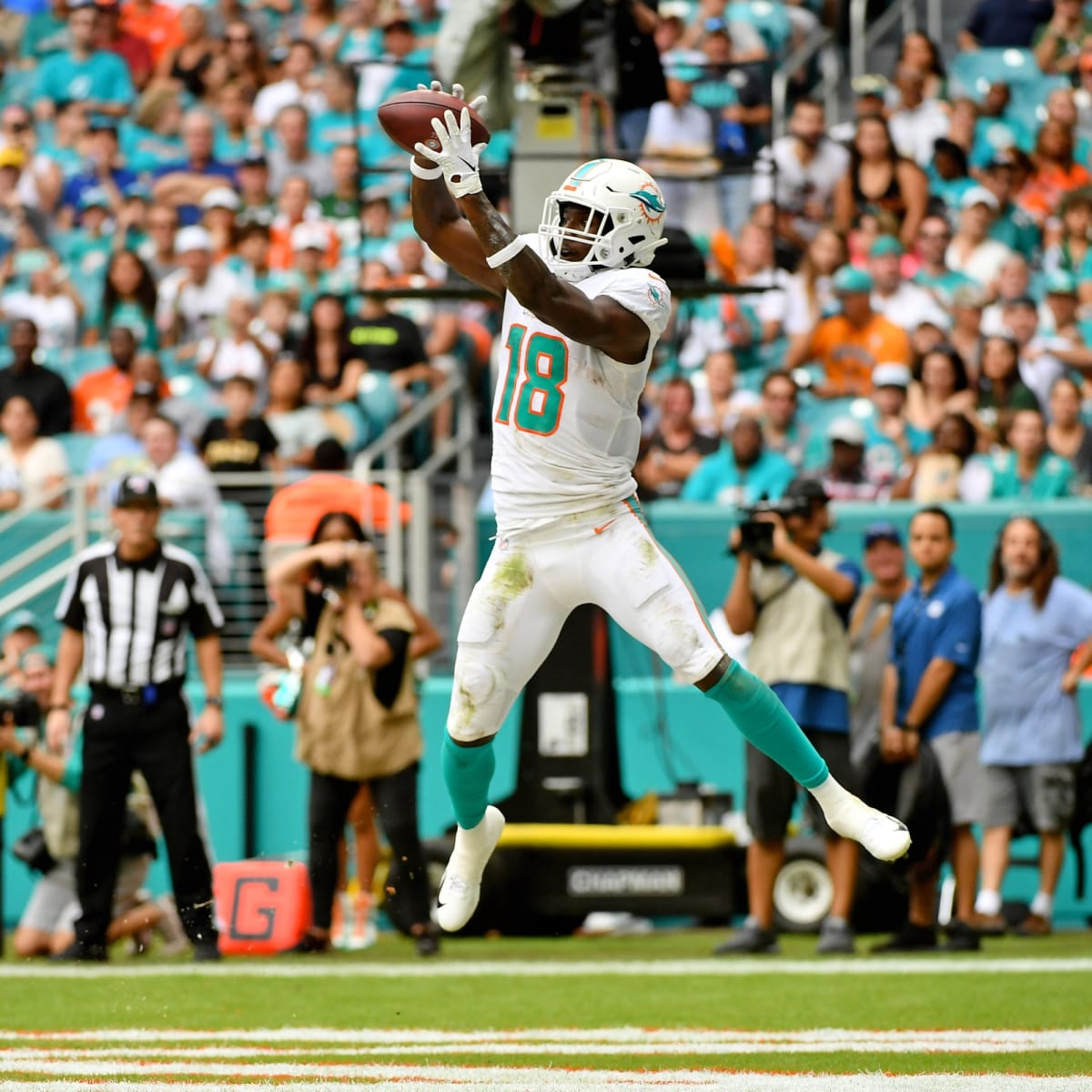 Dolphins Player Profile: WR Preston Williams - Sports Illustrated