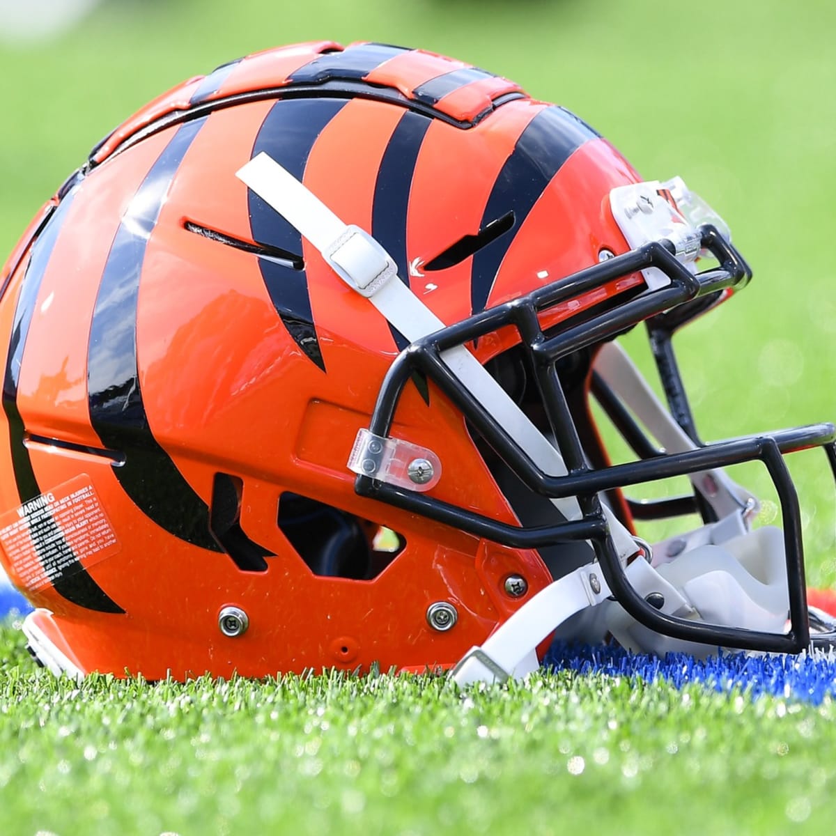 NFL: Cincinnati Bengals sign German Football League standout Abu  Daramy-Swaray