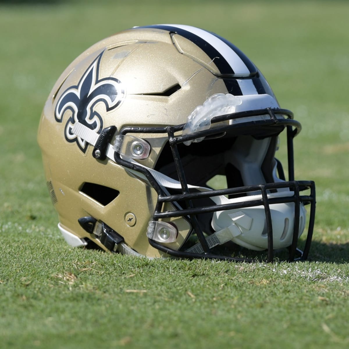 New Orleans Saints - Bobby Hebert talks with fans during the WWL