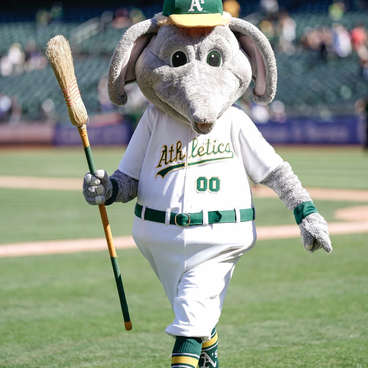 A's Fans Can Buy Cardboard Cutout of Themselves to Display at