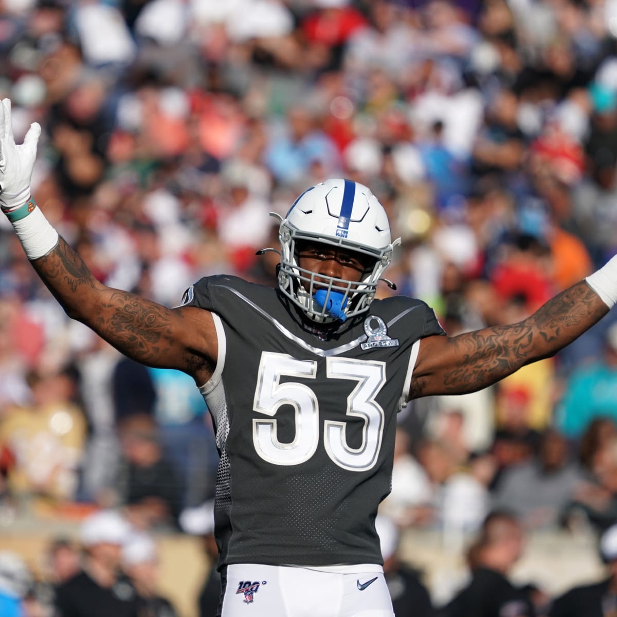 SC State Linebacker Darius Leonard Is An NFL-Caliber Talent - FloFootball