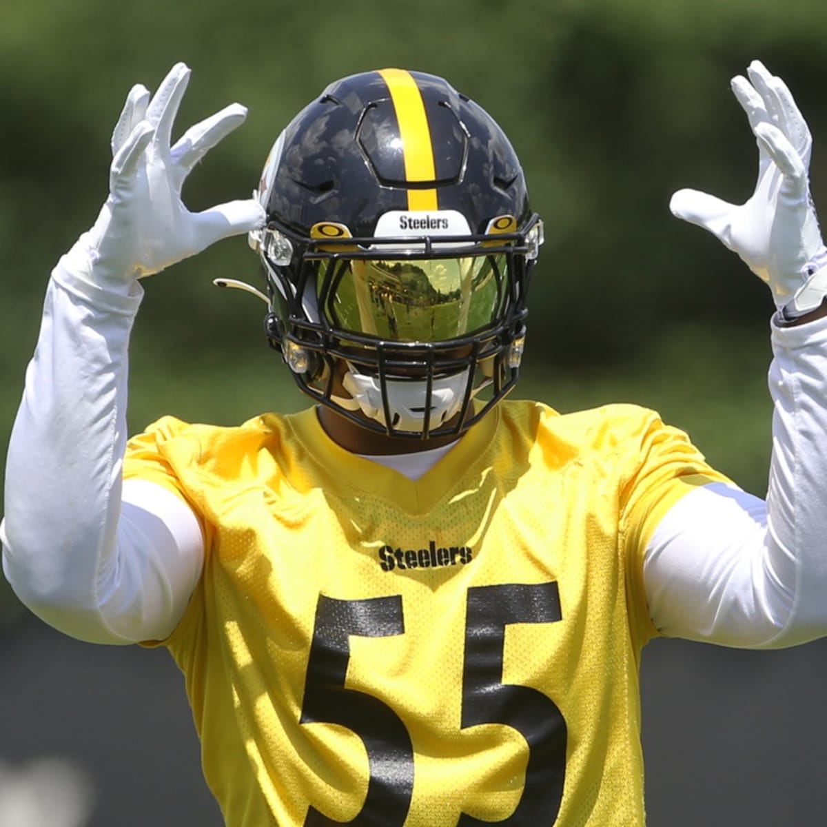 Devin Bush, Joe Haden added to Steelers injury report