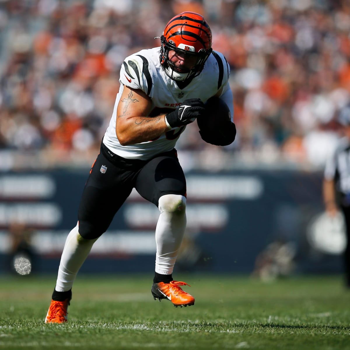 Bengals orchestrate dancing celebration after Logan Wilson interception