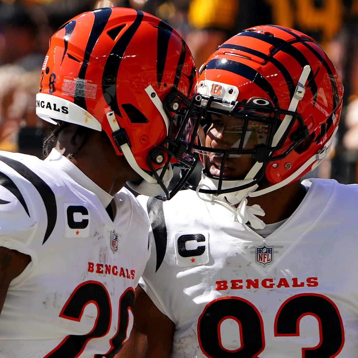 Bengals News: Tyler Boyd defends Tee Higgins, Orlando Brown's