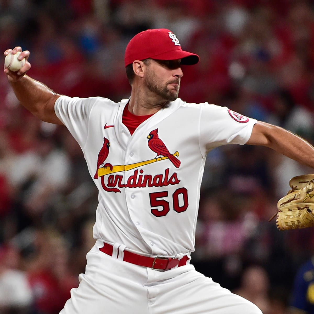 MLB Standings Update: The Cardinals clinch with their 17th