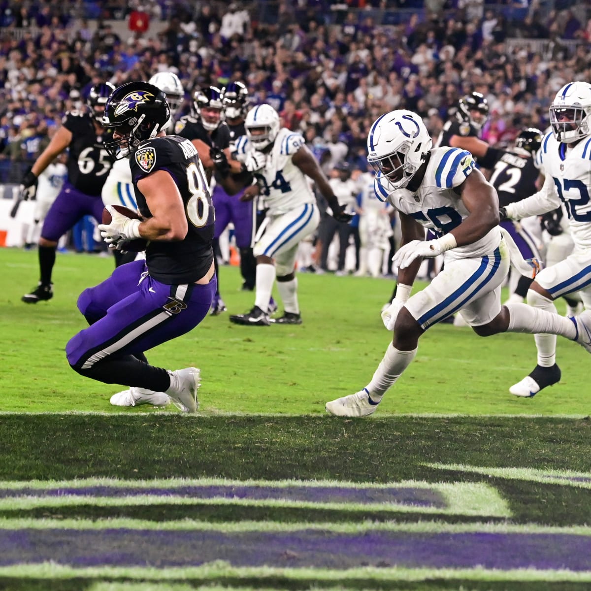 Baltimore Ravens on X: Happy #NationalTightEndsDay to the best TE