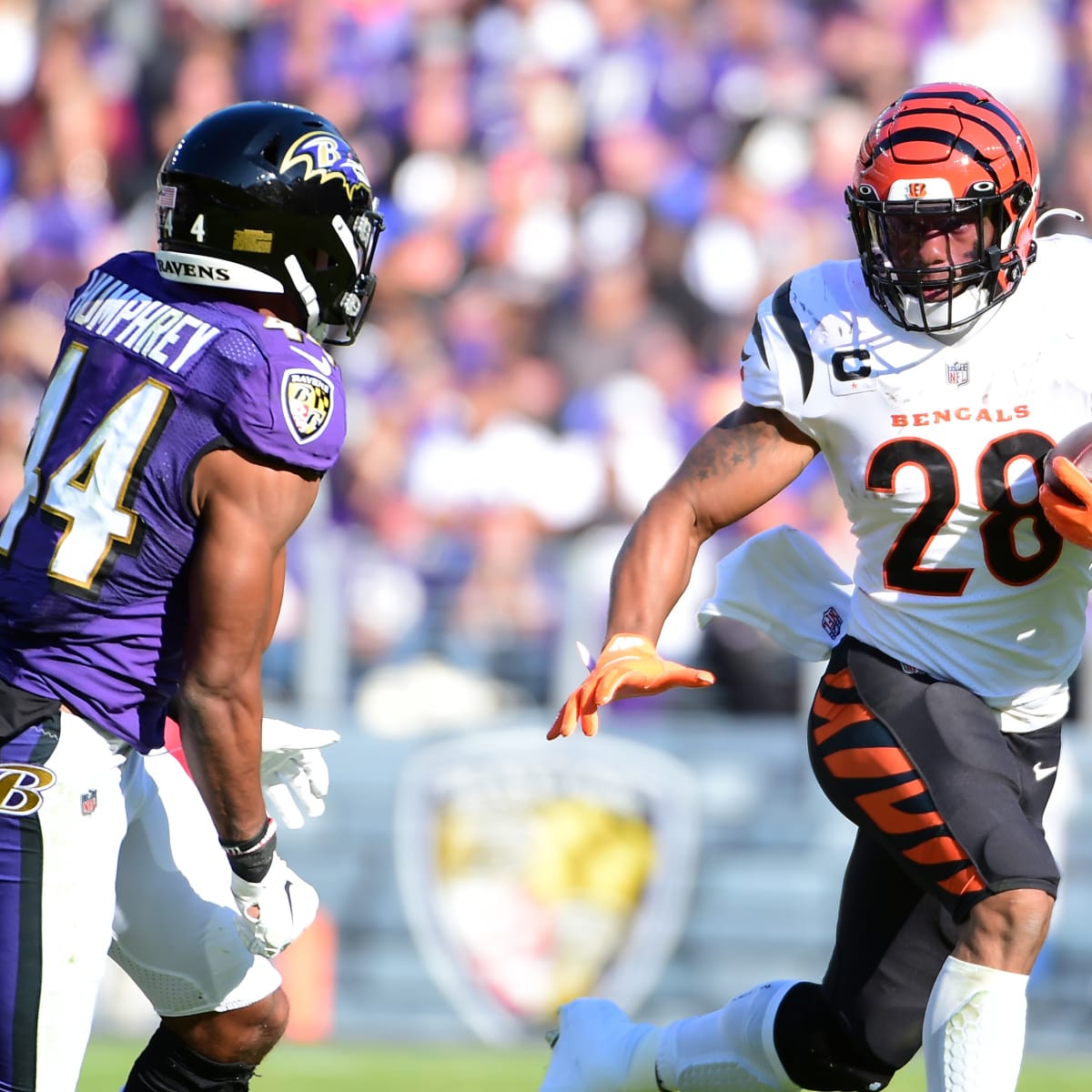 AFC North Recap, Week 1: Bengals and Steelers shellacked