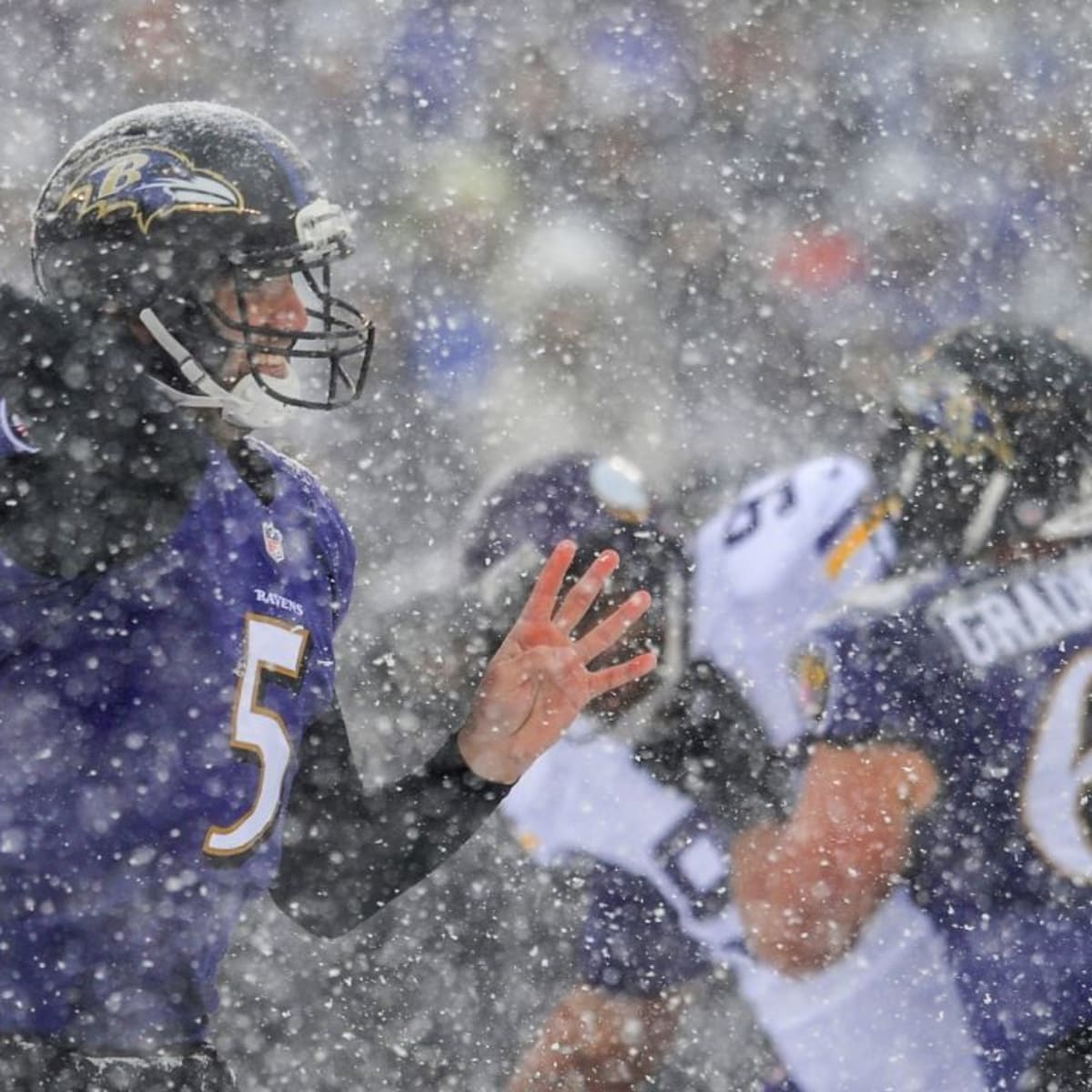 John Harbaugh Reflects on Epic Baltimore Ravens - Minnesota