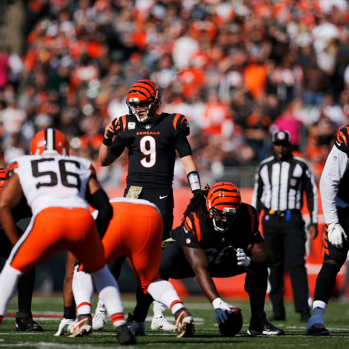 Cleveland Browns Crush Cincinnati Bengals 41-16 in Battle of Ohio