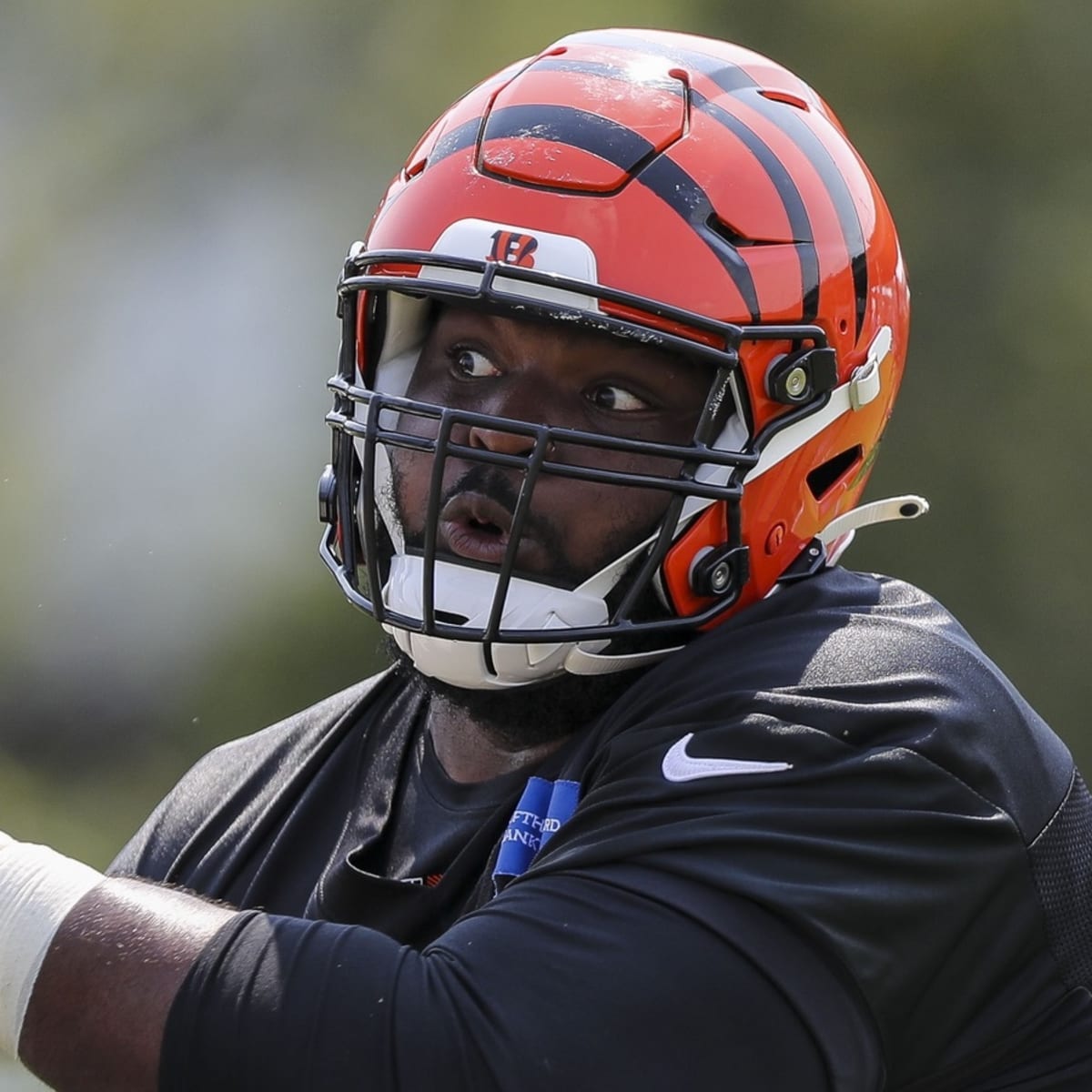 Bengals' Tyler Shelvin sidelined with wrist injury - Cincy Jungle