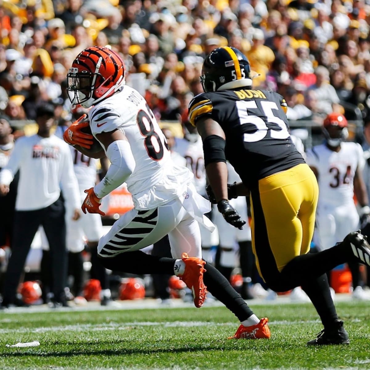 Pittsburgh Steelers linebacker Devin Bush (55) reacts after a tackle during  an NFL football game, Sunday, Nov. 20, 2022, in Pittsburgh, PA. (AP  Photo/Matt Durisko Stock Photo - Alamy