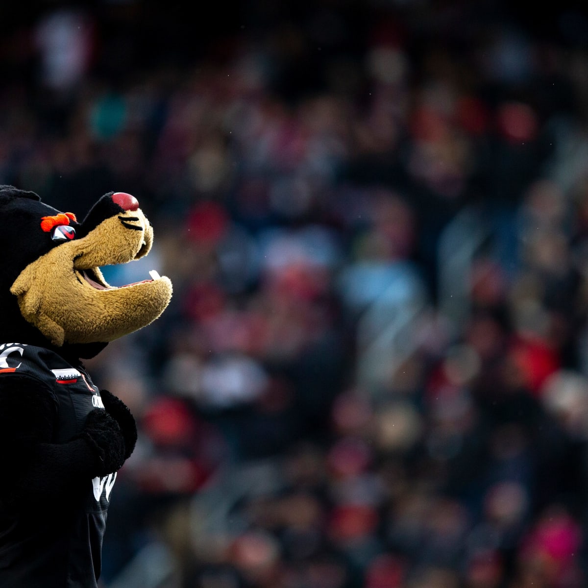 NFL Draft On Tap For Bearcats - University of Cincinnati Athletics