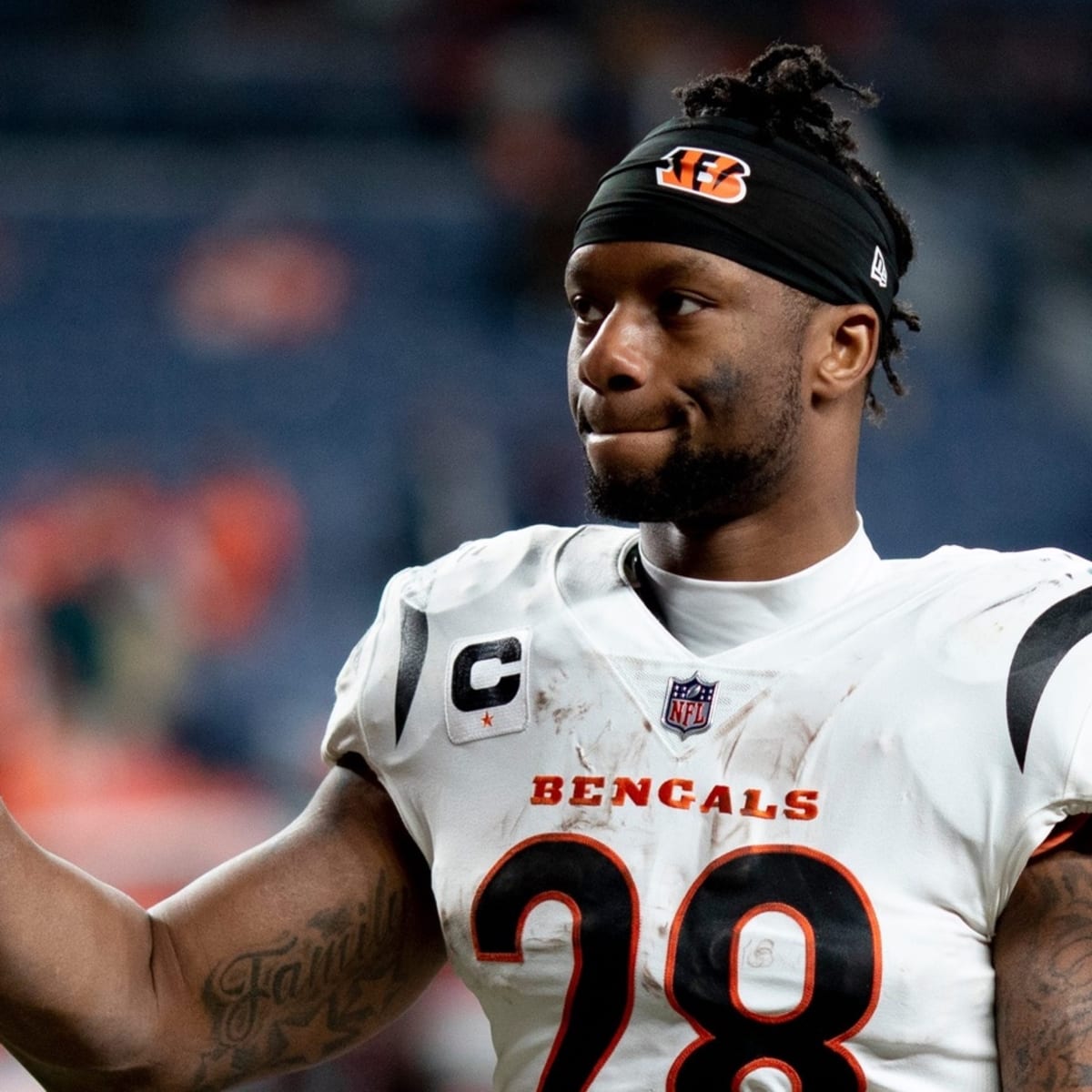 Cincinnati Bengals Running Back Position Preview: Joe Mixon Leads Way With  Plenty of Talent Behind Him - Sports Illustrated Cincinnati Bengals News,  Analysis and More