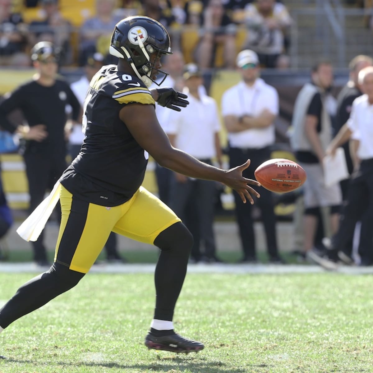 Pittsburgh Steelers' Punter Pressley Harvin Game-Time Decision vs. Texans -  Sports Illustrated Pittsburgh Steelers News, Analysis and More