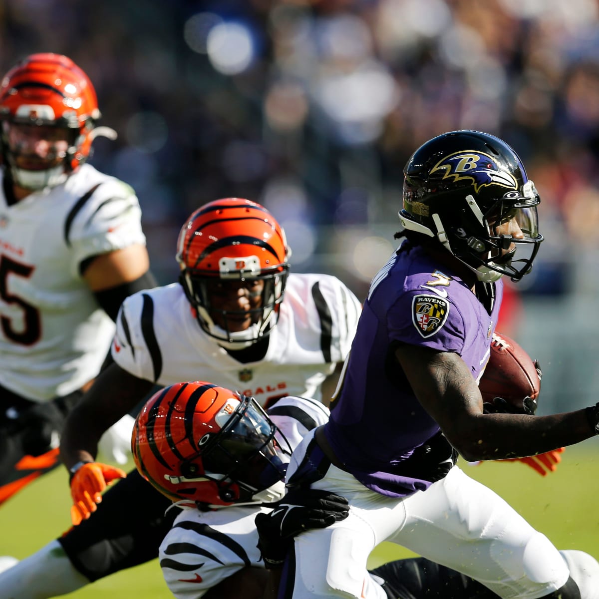 What Pundits Expect in Ravens-Bengals Game