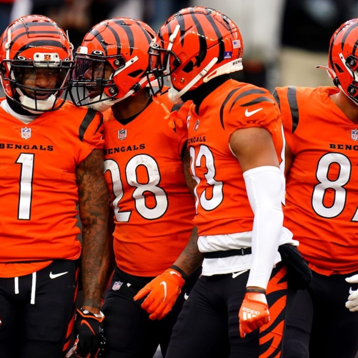 Cincinnati Bengals on X: #RuleTheJungle ➡ Rule The AFC (