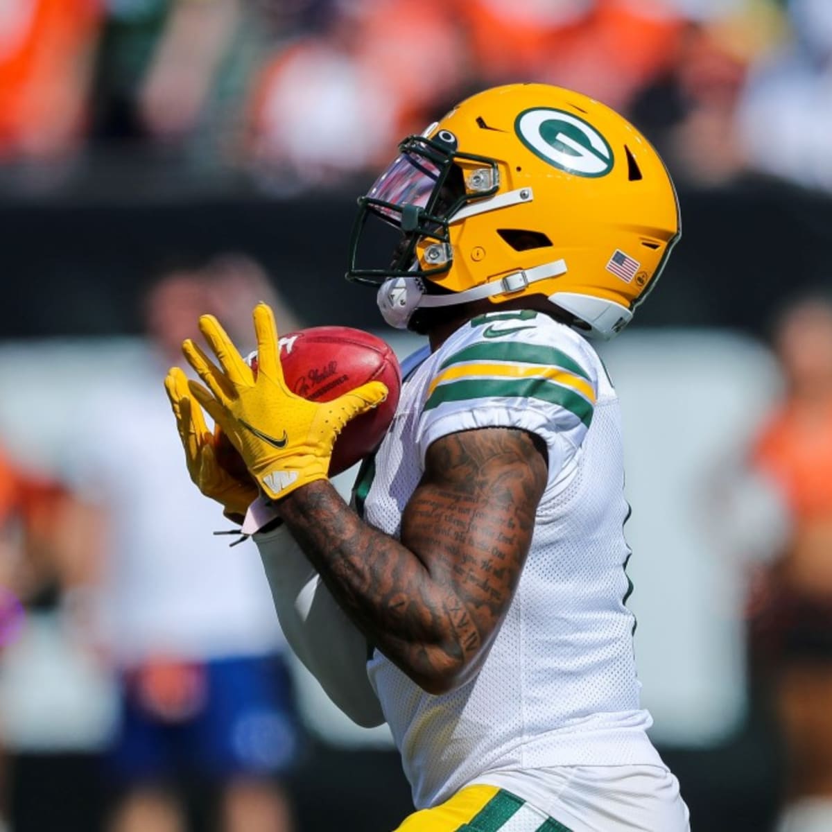 Randall Cobb returns from Packers injured reserve; David Moore added