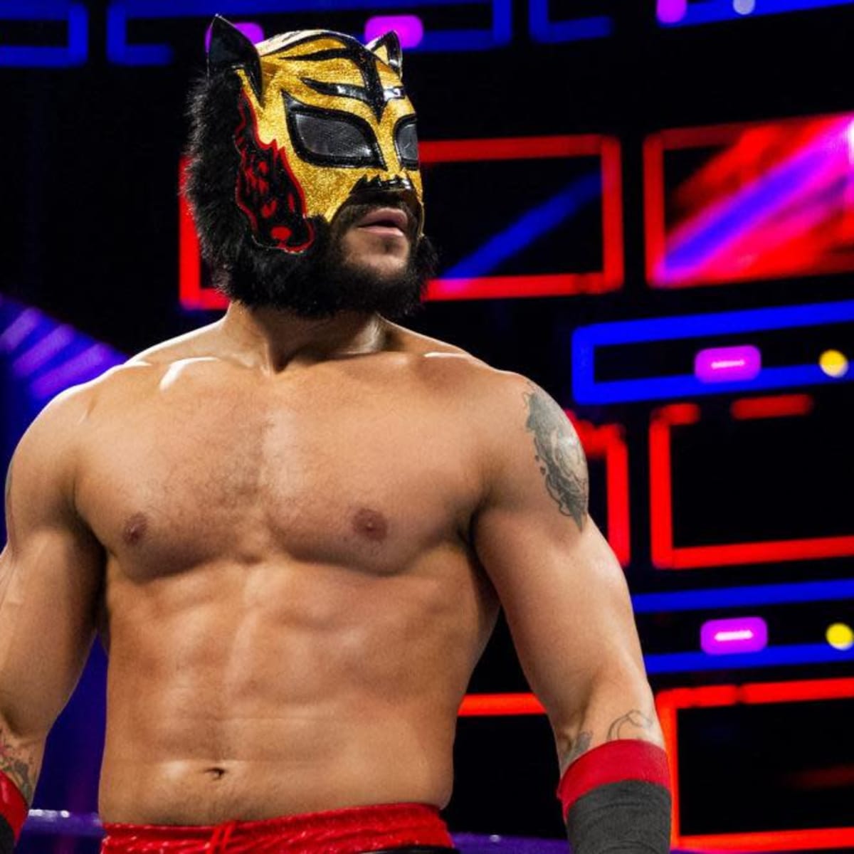 Ex-WWE wrestler Lince Dorado continues career with Masked Republic - Sports  Illustrated