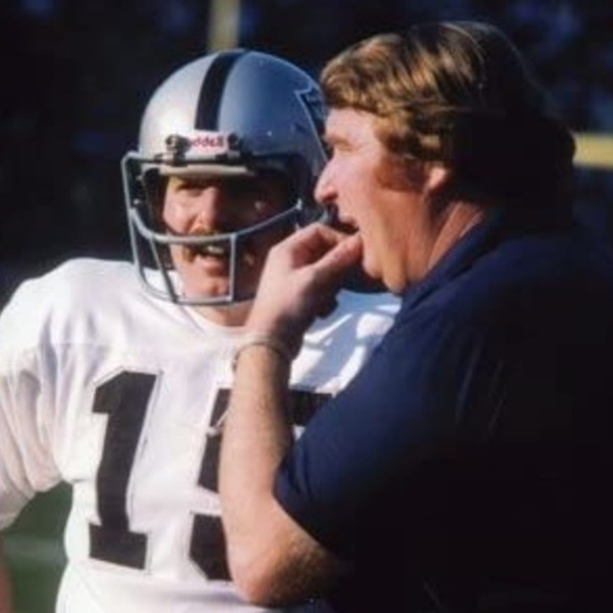 Mike Rae Was Raiders' Insurance Policy in 1976-77 - Sports