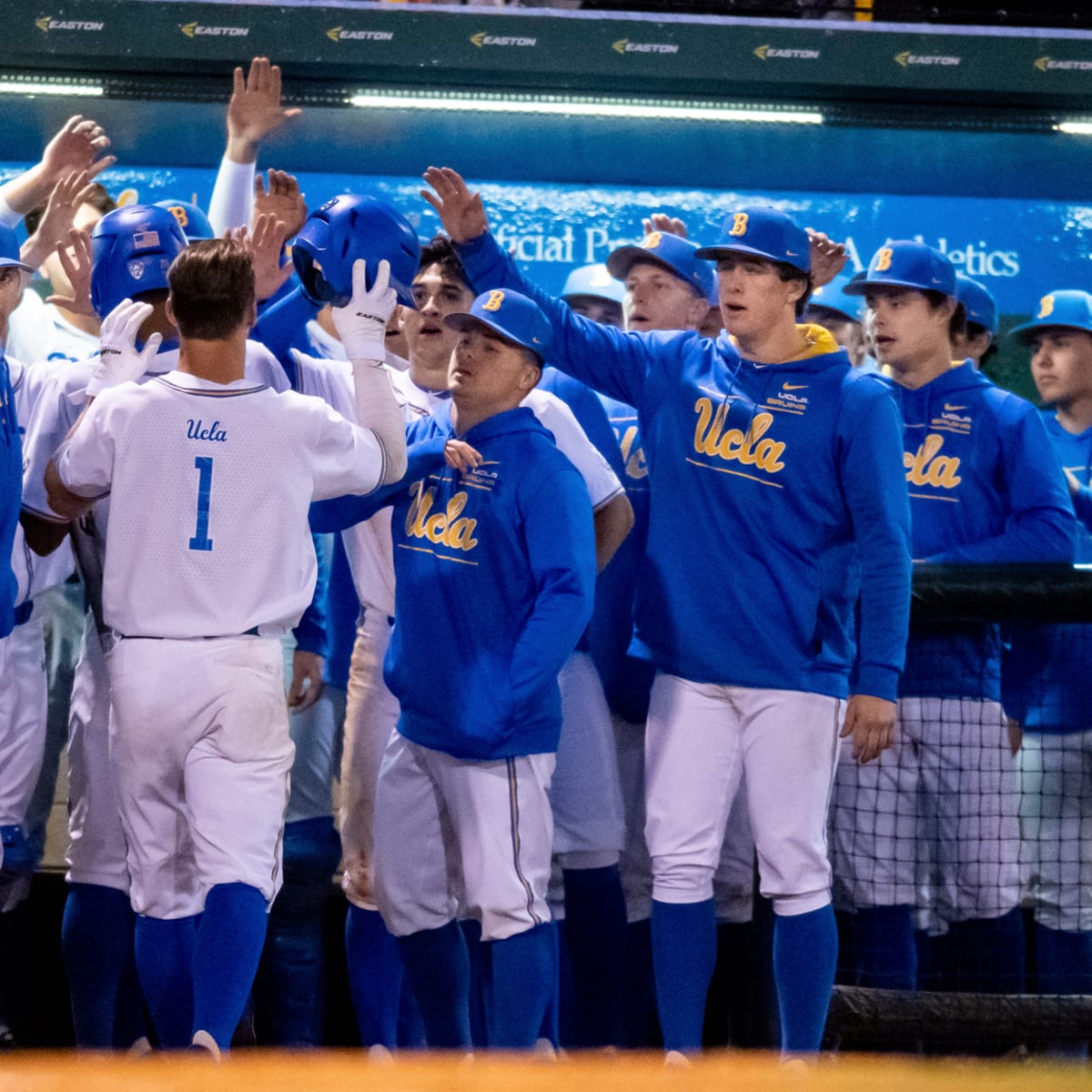 UCLA baseball team sits high on preseason polls - Daily Bruin