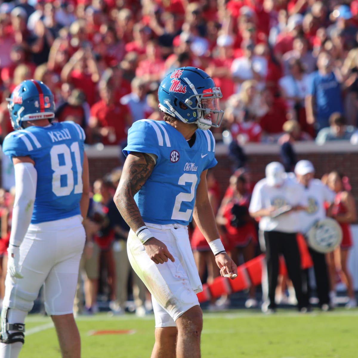 Carolina Panthers Waive Former Ole Miss Quarterback Matt Corral - The Grove  Report – Sports Illustrated at Ole Miss