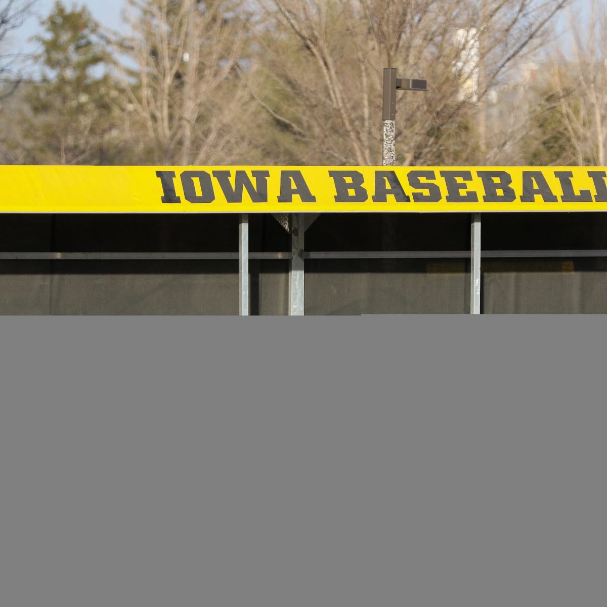 Iowa Baseball Opens Season with Win - Sports Illustrated Iowa Hawkeyes  News, Analysis and More