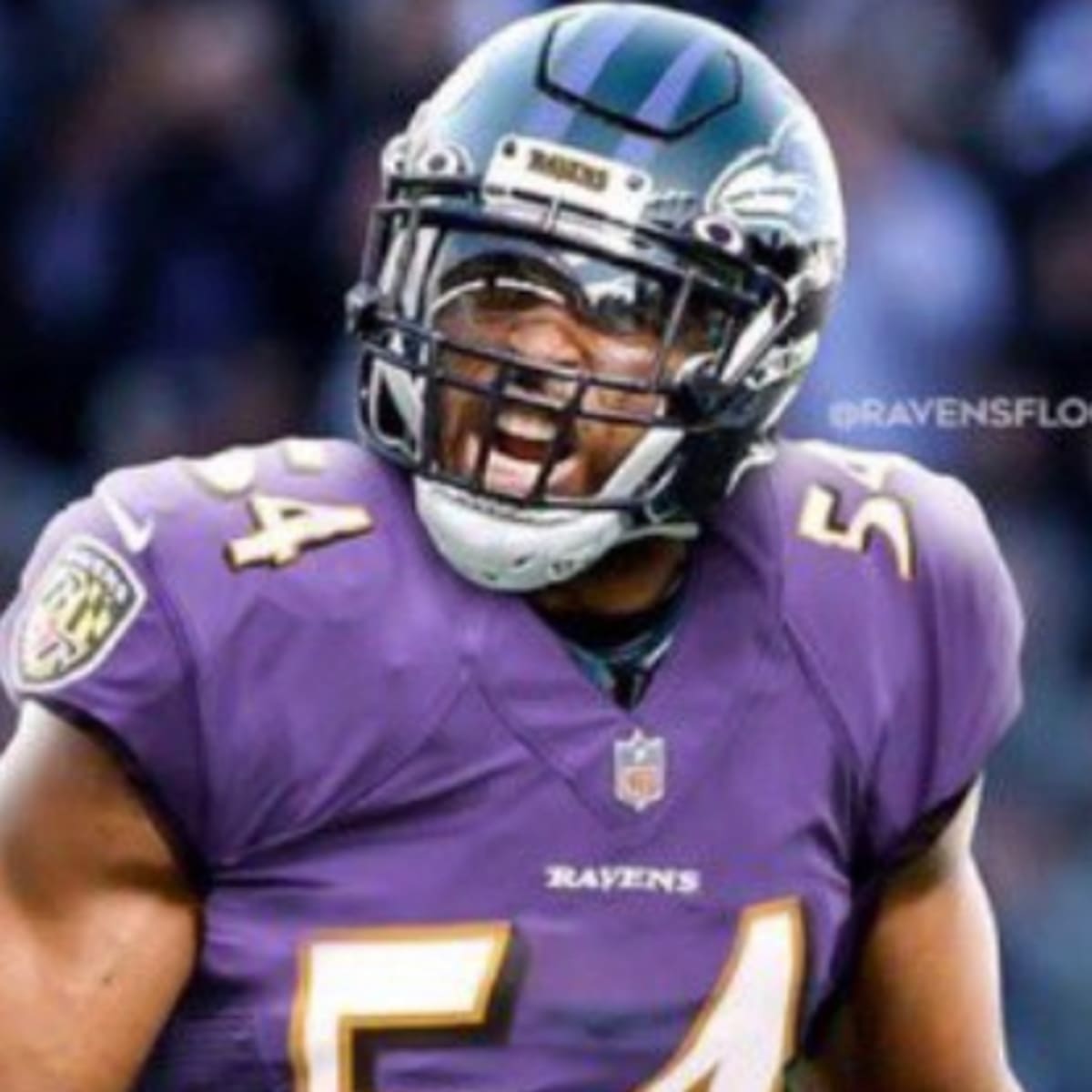 Los Angeles Rams Release LB Bobby Wagner, Baltimore Ravens Interested in  Signing All-Pro? - Sports Illustrated Baltimore Ravens News, Analysis and  More