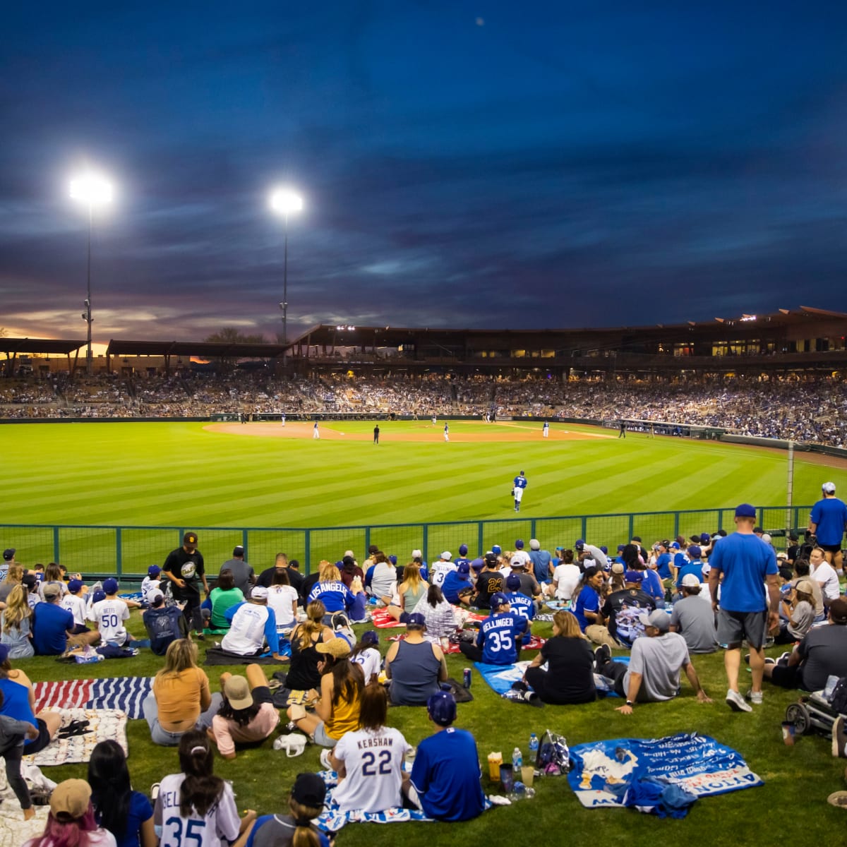 Dodgers: Predicting the Bench For Opening Day