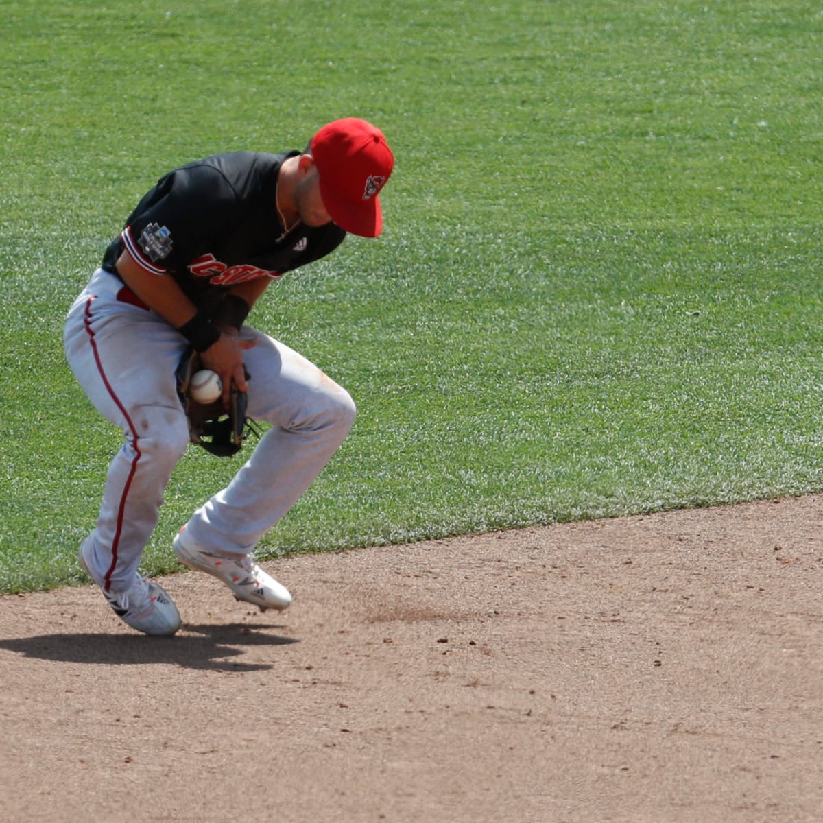 Louisville Baseball Walked Off to Open Series at NC State - Sports  Illustrated Louisville Cardinals News, Analysis and More