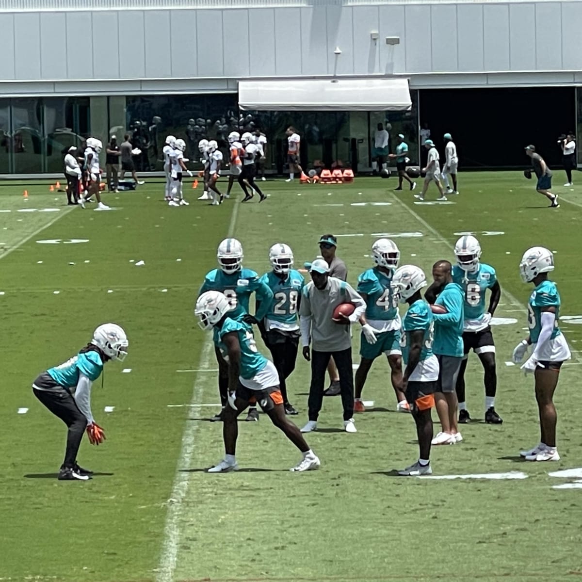 The Miami Dolphins - all you need to know — The Sporting Blog