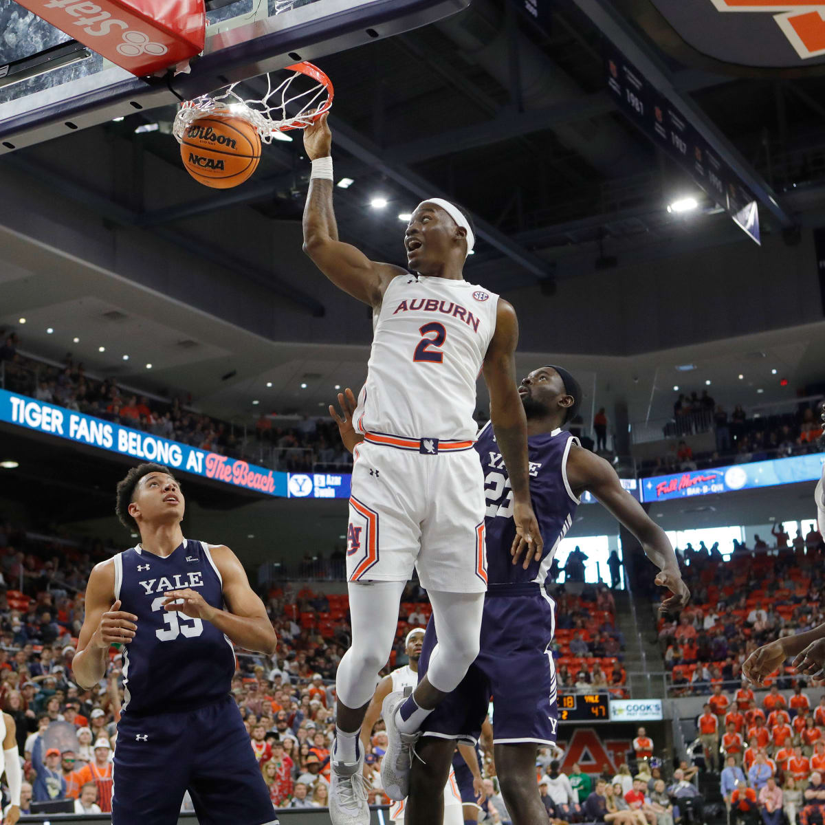 Men basketball shorts Tiger Teeth