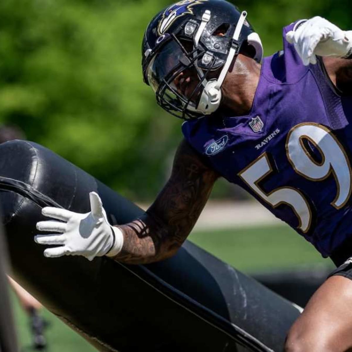 Baltimore Ravens linebacker Daelin Hayes (59) in action during the