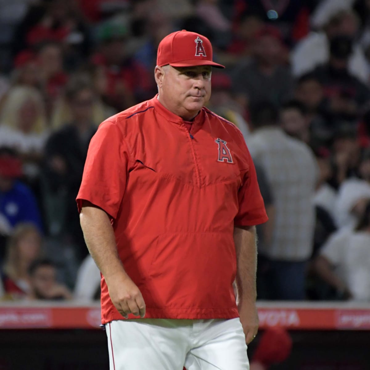 Mike Scioscia named U.S. baseball manager ahead of Olympic qualifying - NBC  Sports