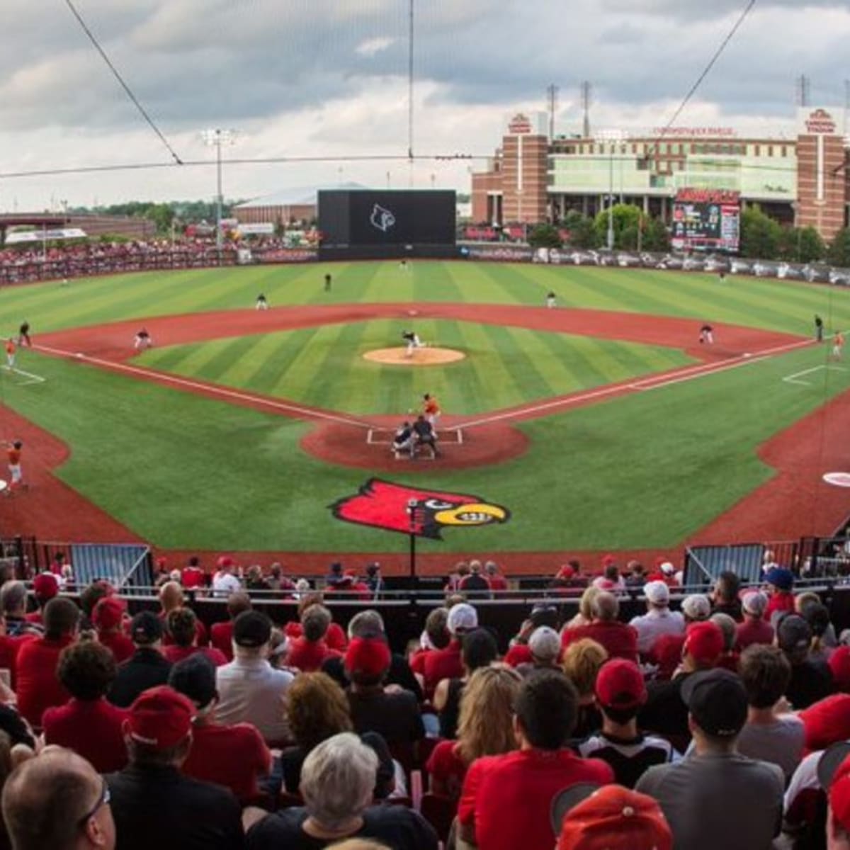 Louisville Baseball Approved to Host More Fans at Jim Patterson Stadium -  Sports Illustrated Louisville Cardinals News, Analysis and More