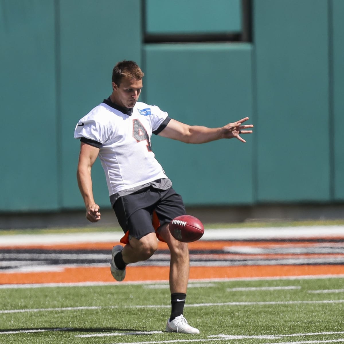 Bengals Roster News: Drue Chrisman to PS and Holton Hill cut from it -  Cincy Jungle