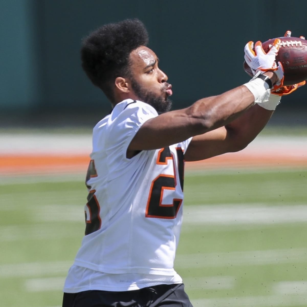 Cincinnati Bengals running back Chris Evans reacts during the game News  Photo - Getty Images