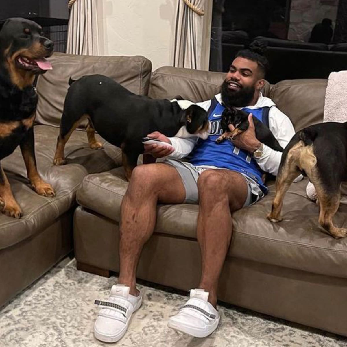 Ezekiel Elliott cited after dog bites 2 people