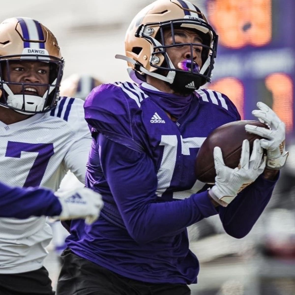 Jalen McMillan is a DAWG. - Washington Husky Football