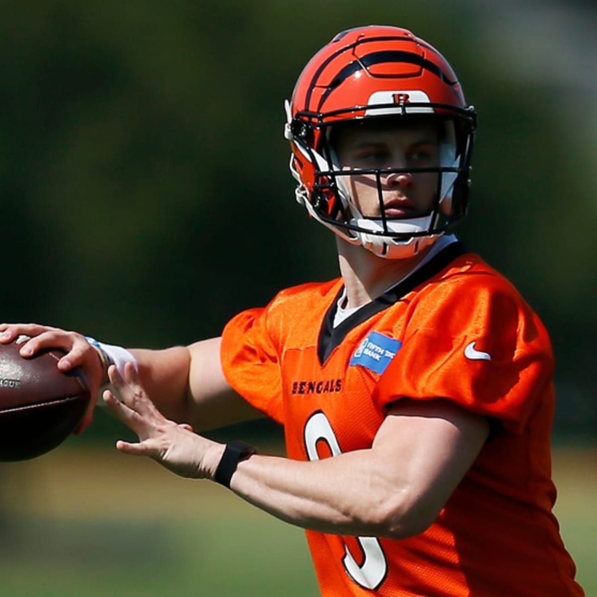 Bengals tight ends Drew Sample and C.J. Uzomah are taking training camp by  storm