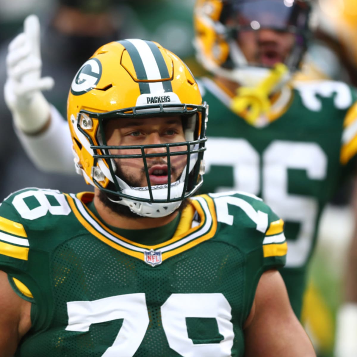 Detroit Lions Sign Free Agent Brian Price Green Bay Packers