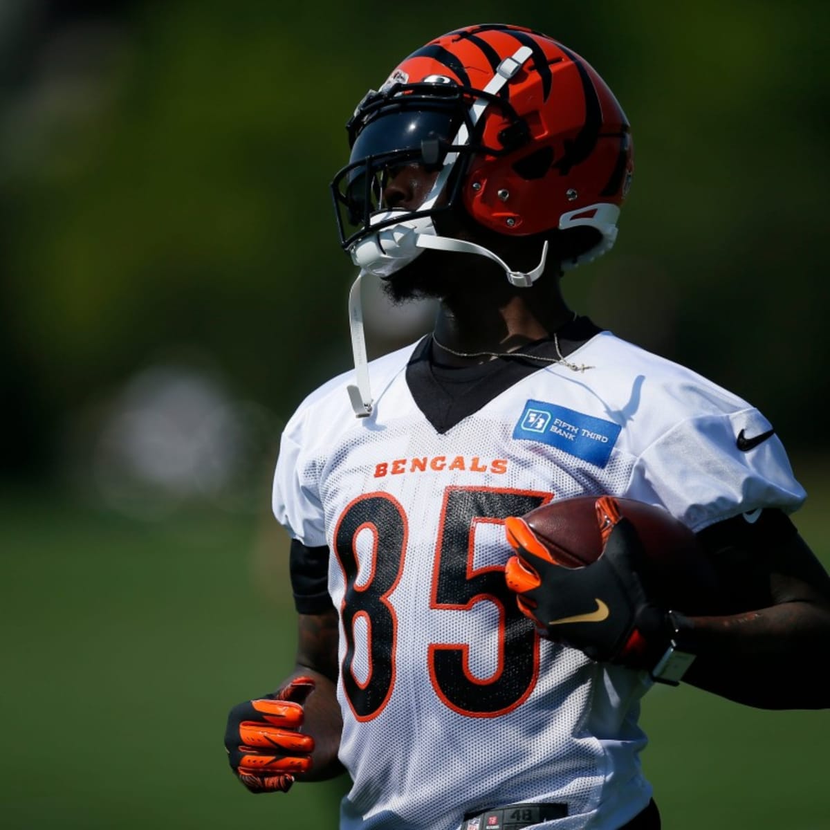 Bengals' Tee Higgins is 'learning a lot' in first NFL training camp