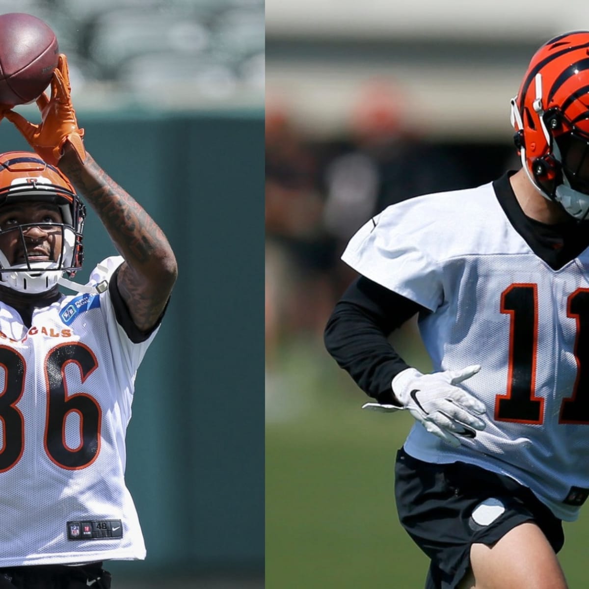 Cincinnati Bengals rookie WR Auden Tate impresses at minicamp