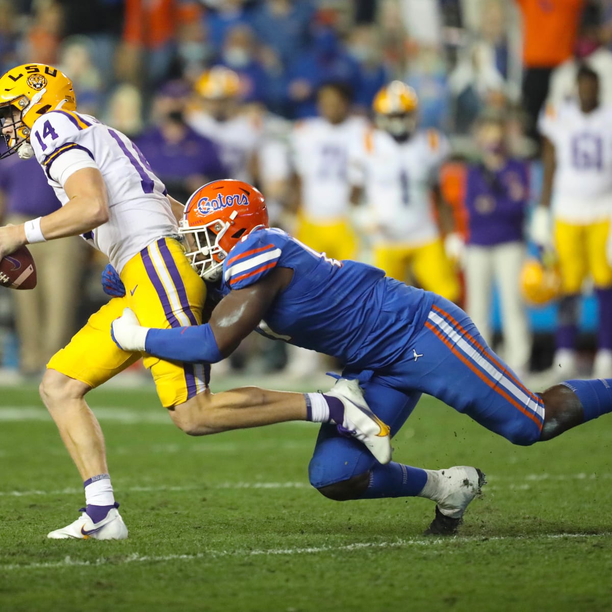 Zach Carter to Bengals in NFL Draft: Florida Gators DL will