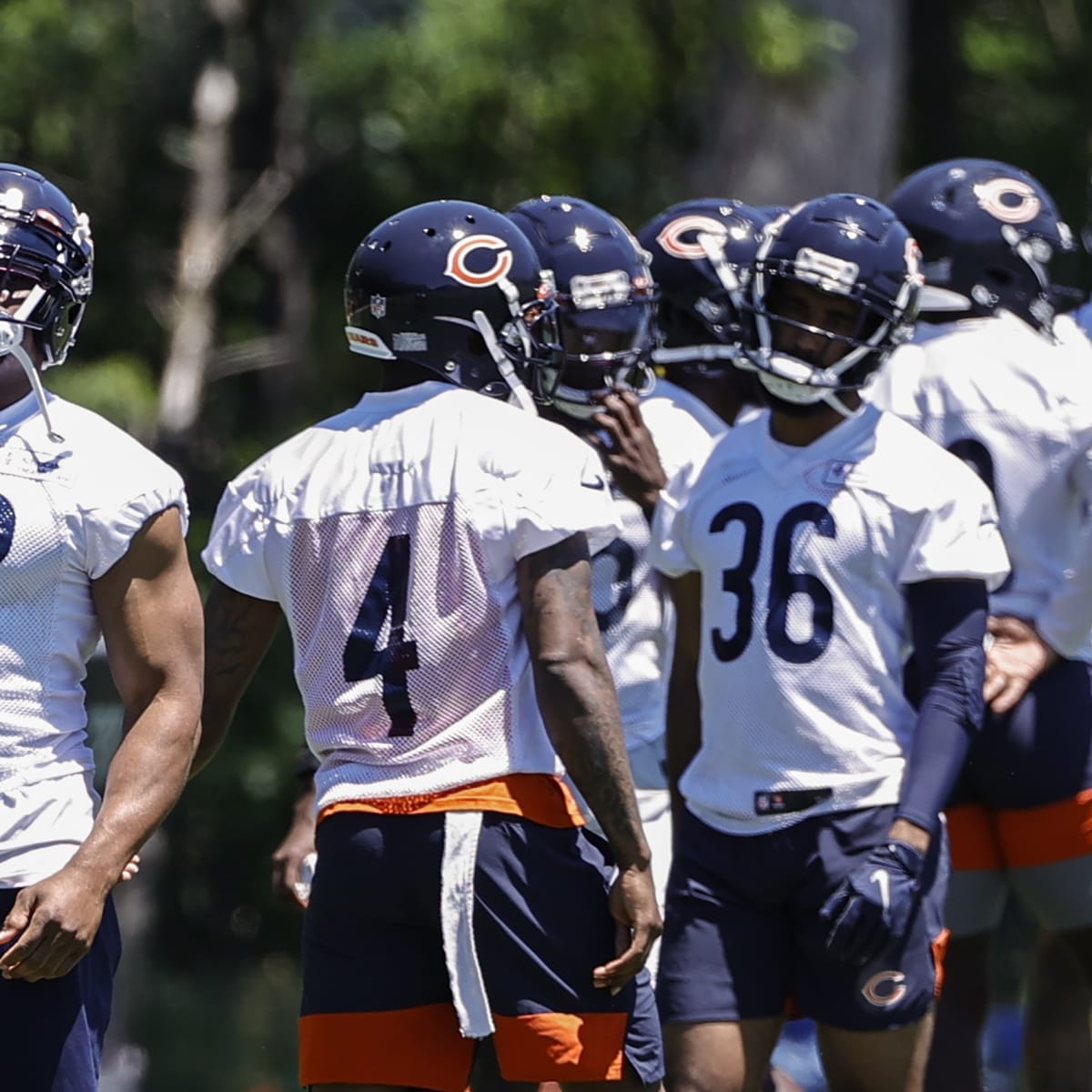 Lucas Patrick placed on IR by Chicago Bears with toe injury - Sports  Illustrated Chicago Bears News, Analysis and More