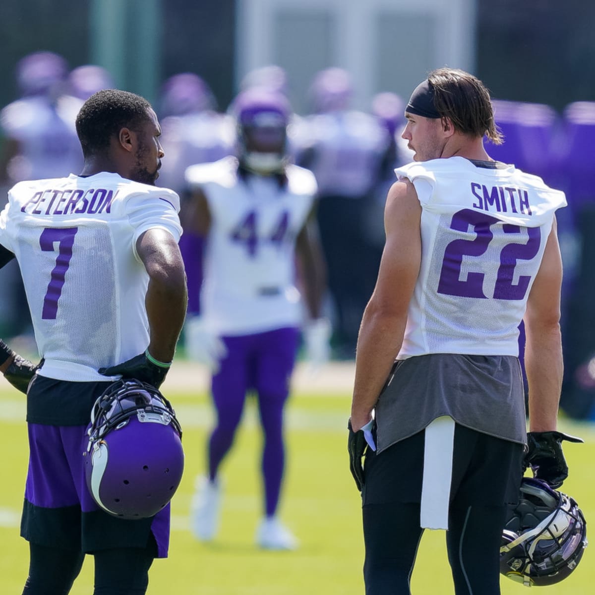 Minnesota Vikings safety Harrison Smith is the most interesting