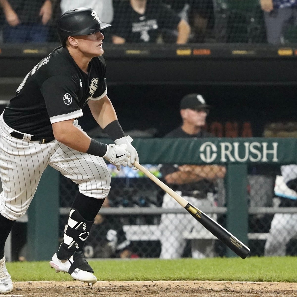 Cal Baseball: Andrew Vaughn and the White Sox Fueled by Visions of